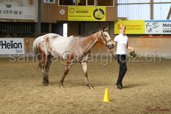 24-ApHC HIH_073.jpg